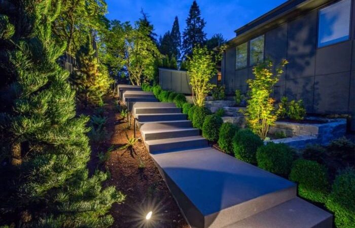 Lighting landscape ideas uplighting outdoor designs dramatic homebnc