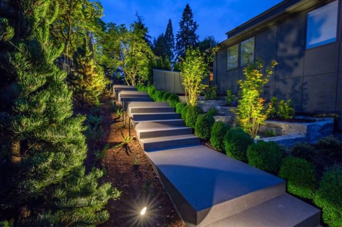 Lighting landscape ideas uplighting outdoor designs dramatic homebnc